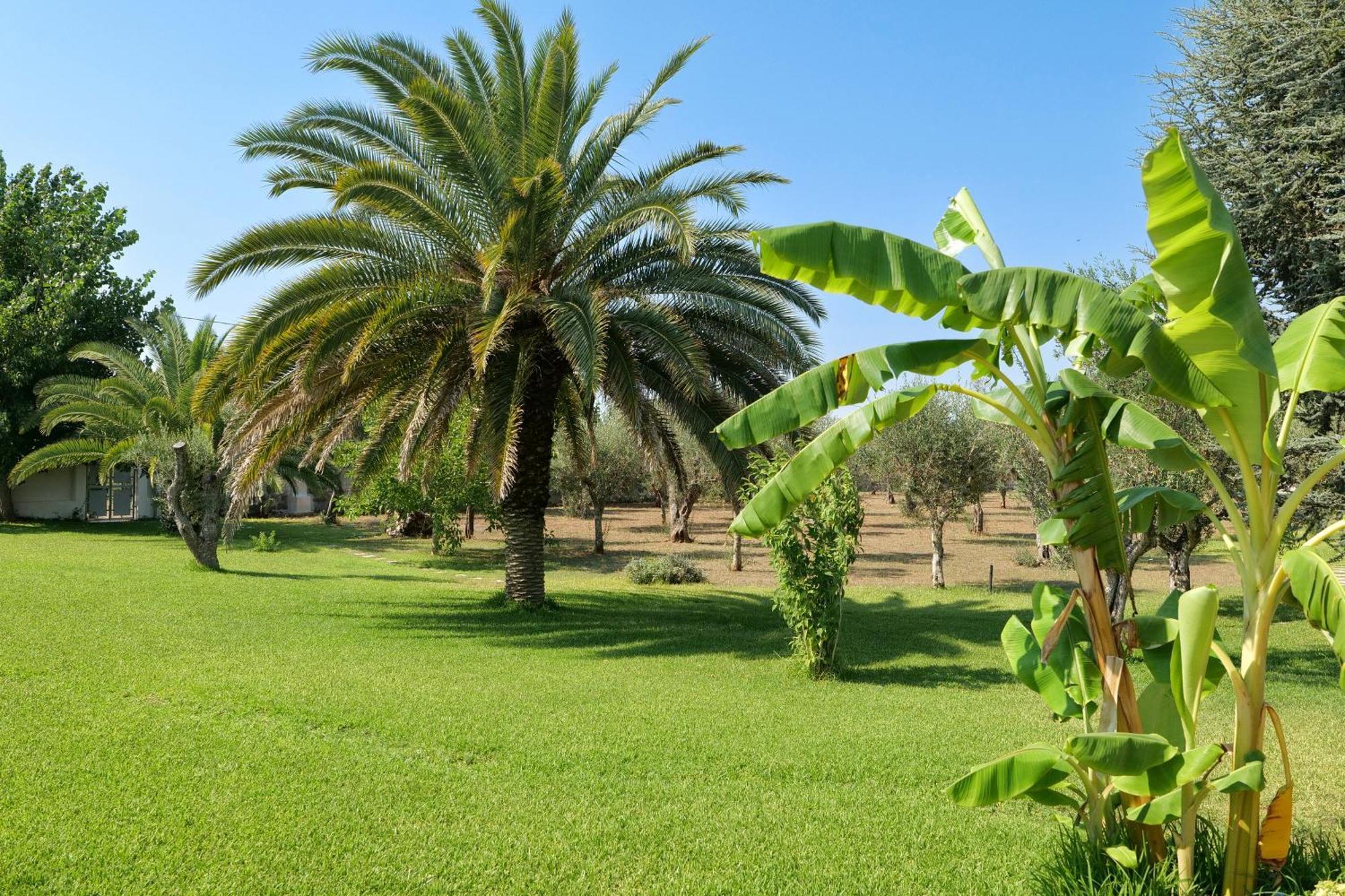 Tenuta Ricco With Pool And Garden Cursi Exterior foto